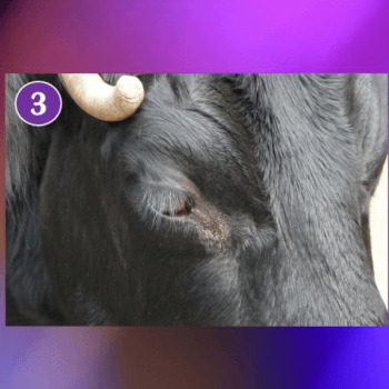 Step 2 - Release what holds you back