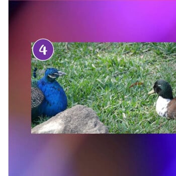 Step 3 - Deepen authentic connection