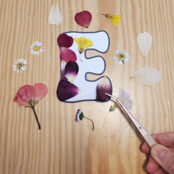 Let Your Creativity Bloom