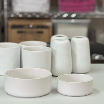Choose the right bowl for your pet