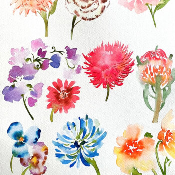 Lesson 2-Introduction to Flowers