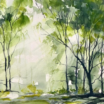Lesson 3-Introduction to Landscape