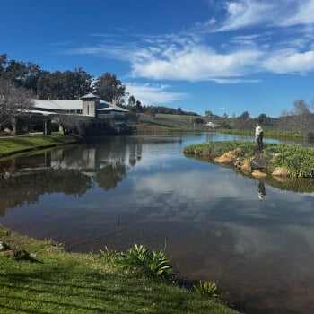 Wine Tasting Millbrook Wine