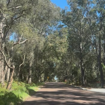 Scenic Journey Back to Perth