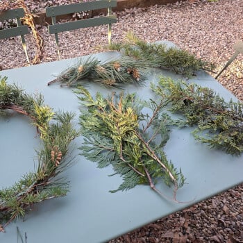 Choose your base foliage