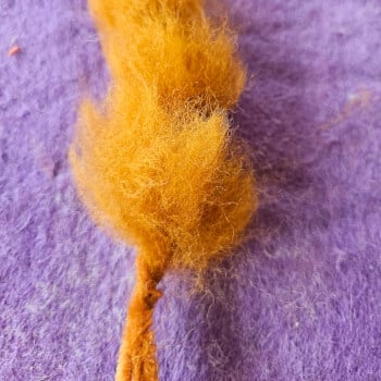 Brushy tail