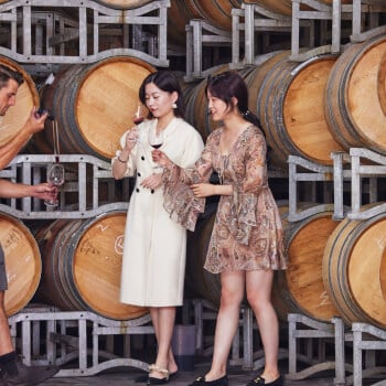 Grapes and Winemaking