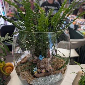 Make your terrarium