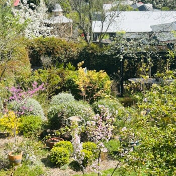 Garden tour
