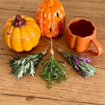 Mini Herbal Broomsticks