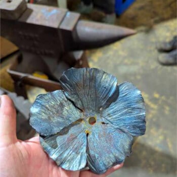 Animate Petal
