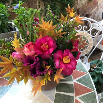 Add flowers 