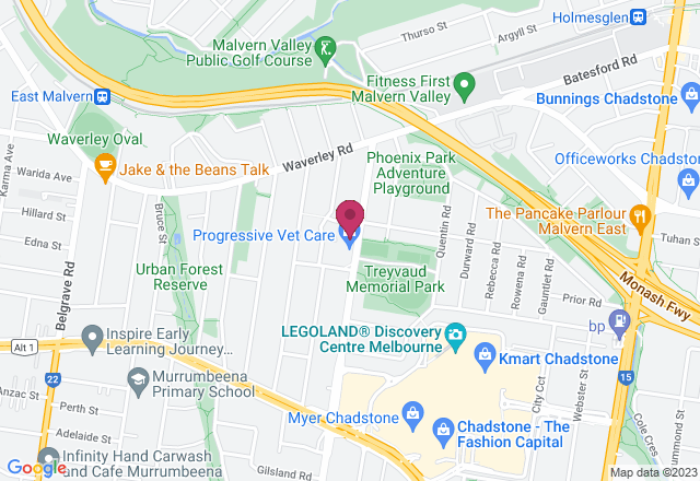 Floristry Workshop: Native and Tropical Flowers location