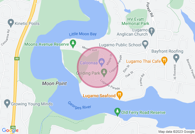 Urban Beekeeping Workshop for Beginners location