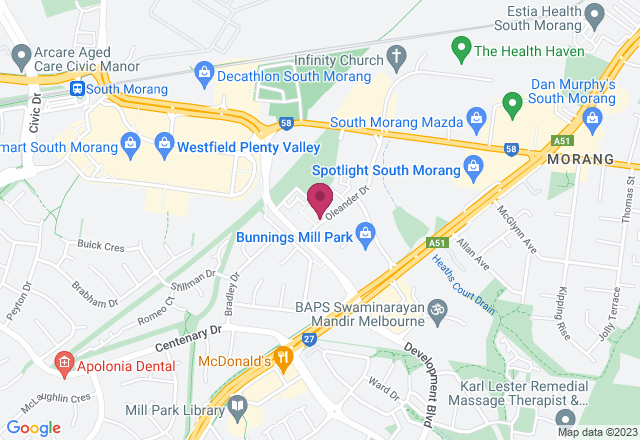 Paint Your Pet Class location