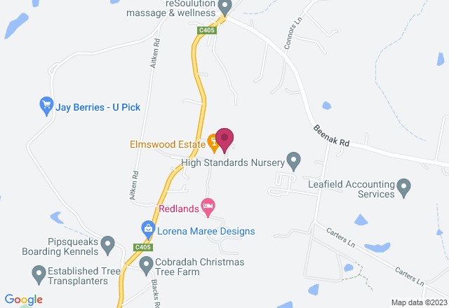 Paint and Sip Class: Lady Llama location