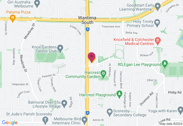 Steamed Bun Character Making Class location