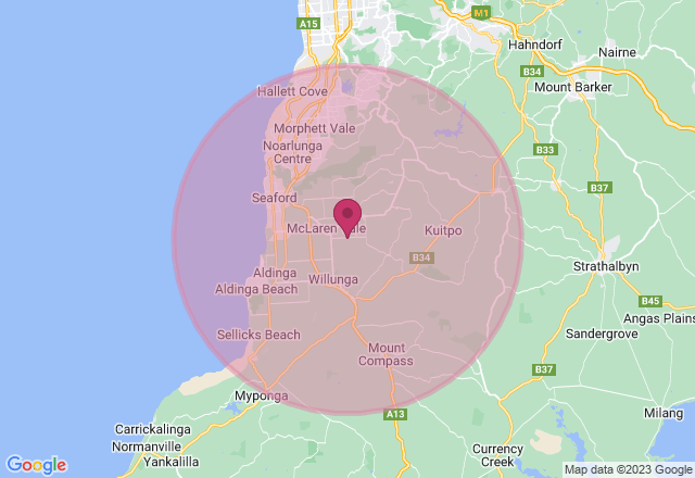 Native Australian Flowers Painting Class for Groups location