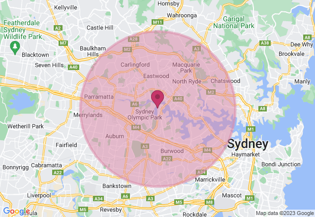 Clay Sculpture Class: Rabbit and Carrot Trinket Dish location