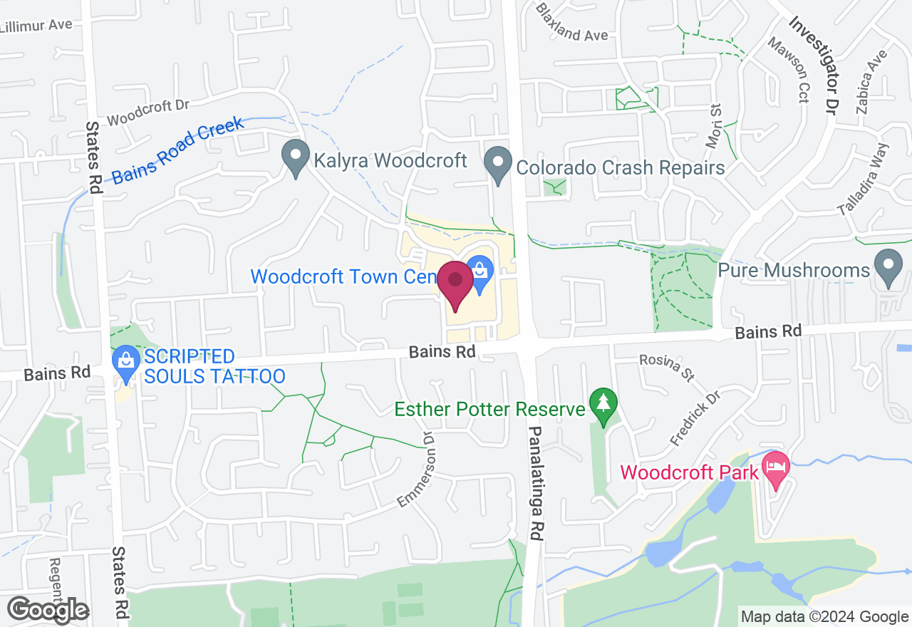 Monstera Painting Class location