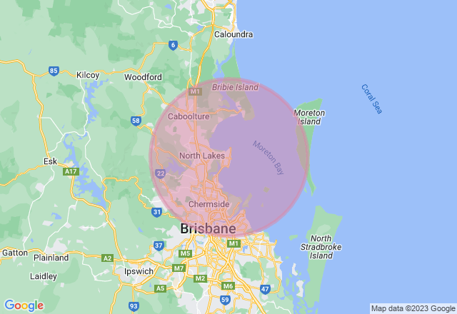 Mobile Paint and Sip Class - North Brisbane location