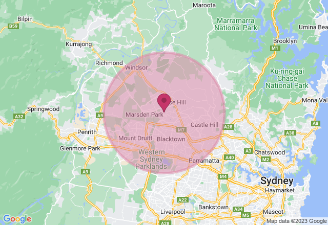 Clay Sculpting Workshop: Miss Crafty location