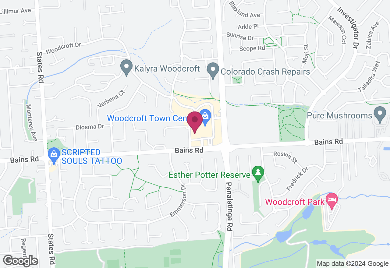 Protea Painting Workshop location