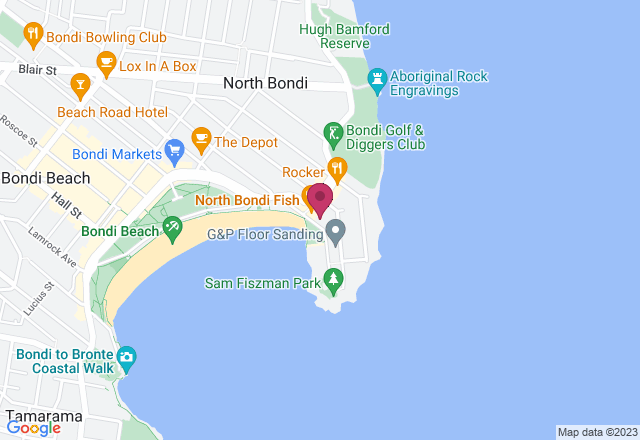 Surfing Class - Bondi location