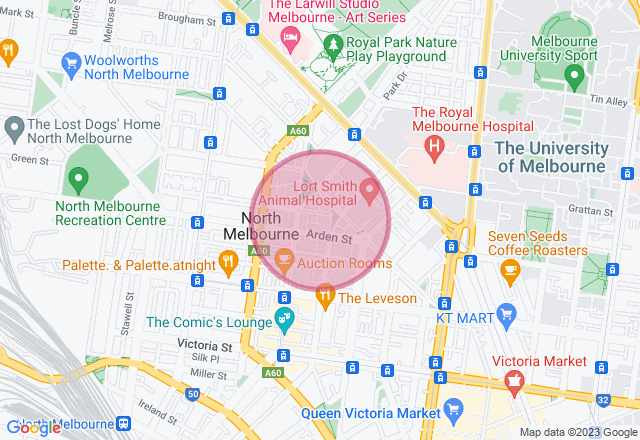 School Holiday Art Class for Kids location