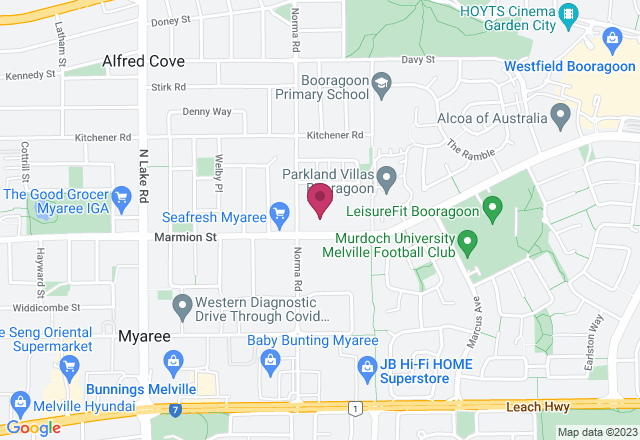 Kokedama Moss Ball Workshop location