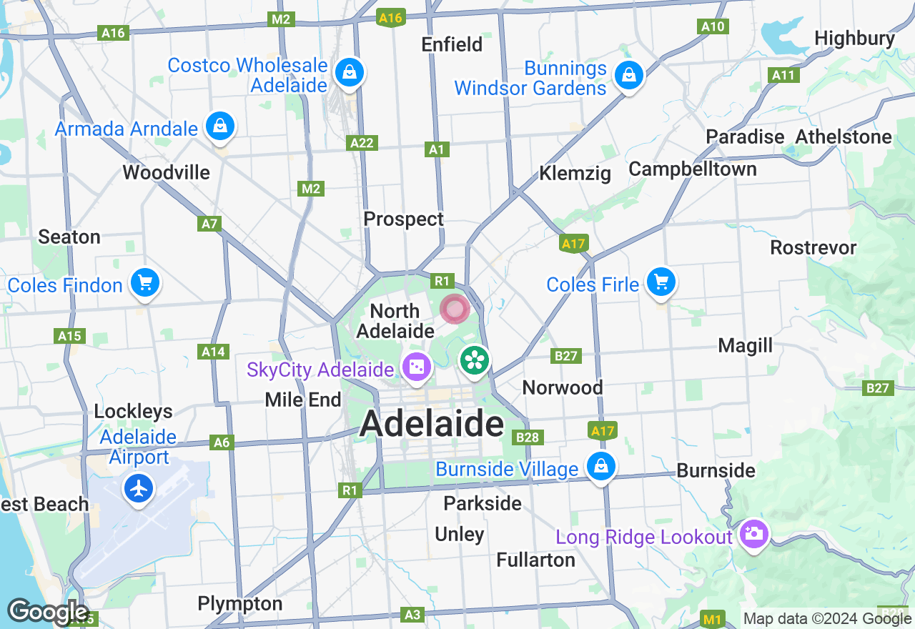 Fluid Paint a Bear Class location