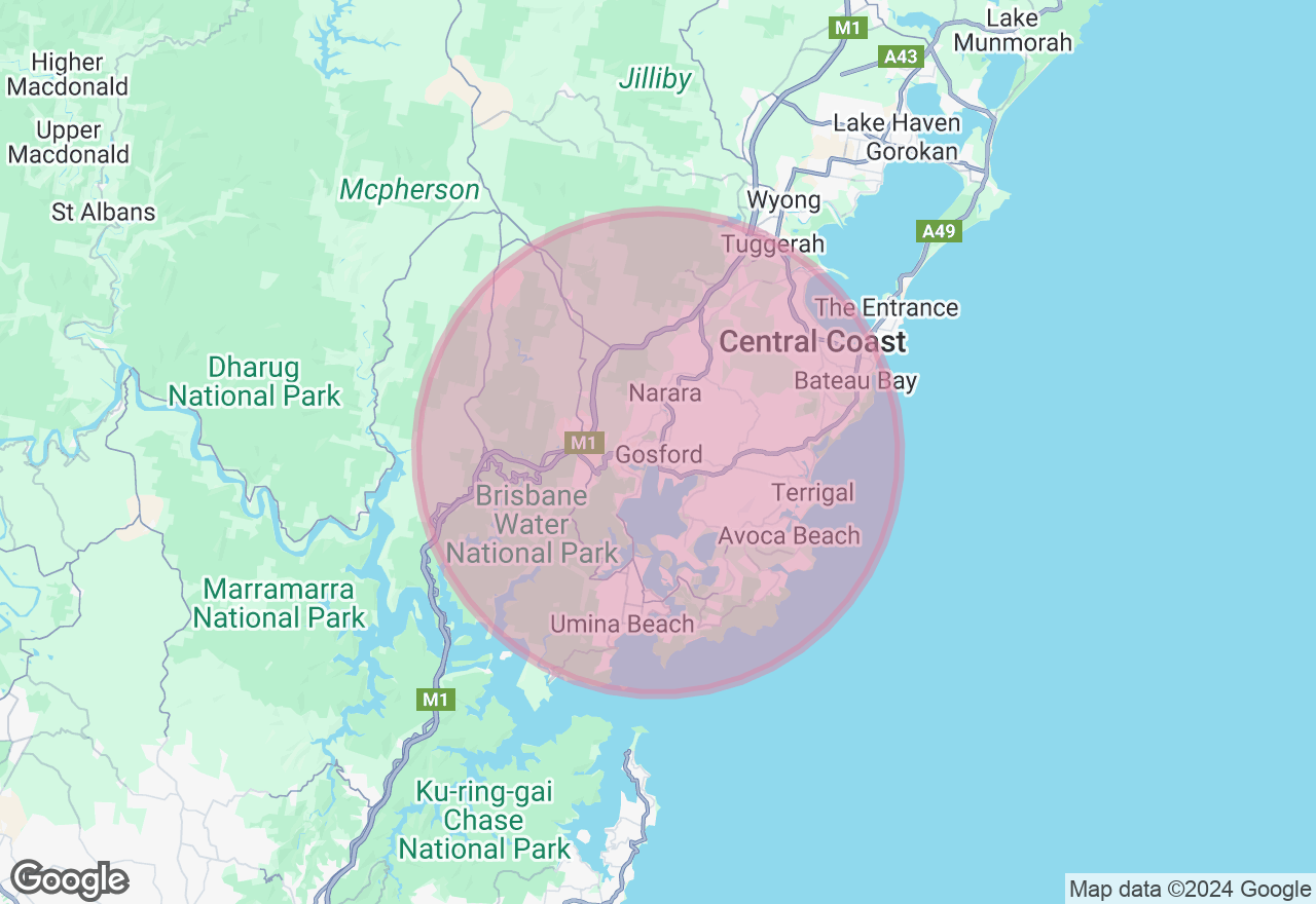 Everlasting Floral Embroidery Hoop Workshop location