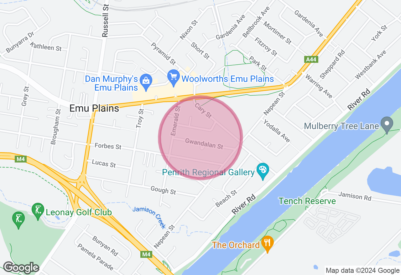 Pottery Workshop: Terracotta Chia Pet location