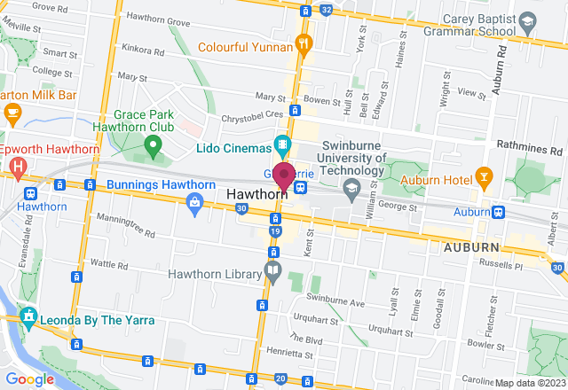 Sea Turtle Watercolour Painting Class location