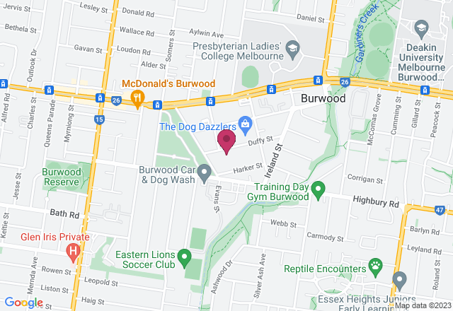 Festive Ceramic Tree Making Workshop location