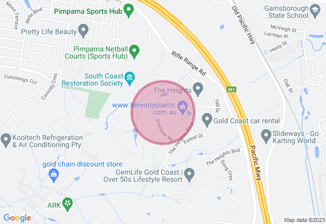 Trinket Workshop location