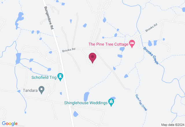 Ink Animal Drawing Course location