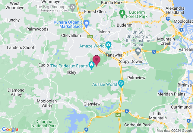 Basket Weaving Workshop for Healing and Connection location