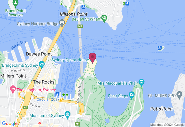 Night Photography Class for Beginners - Vivid Special location