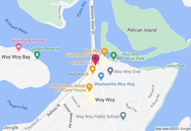 Paper Succulents Workshop location