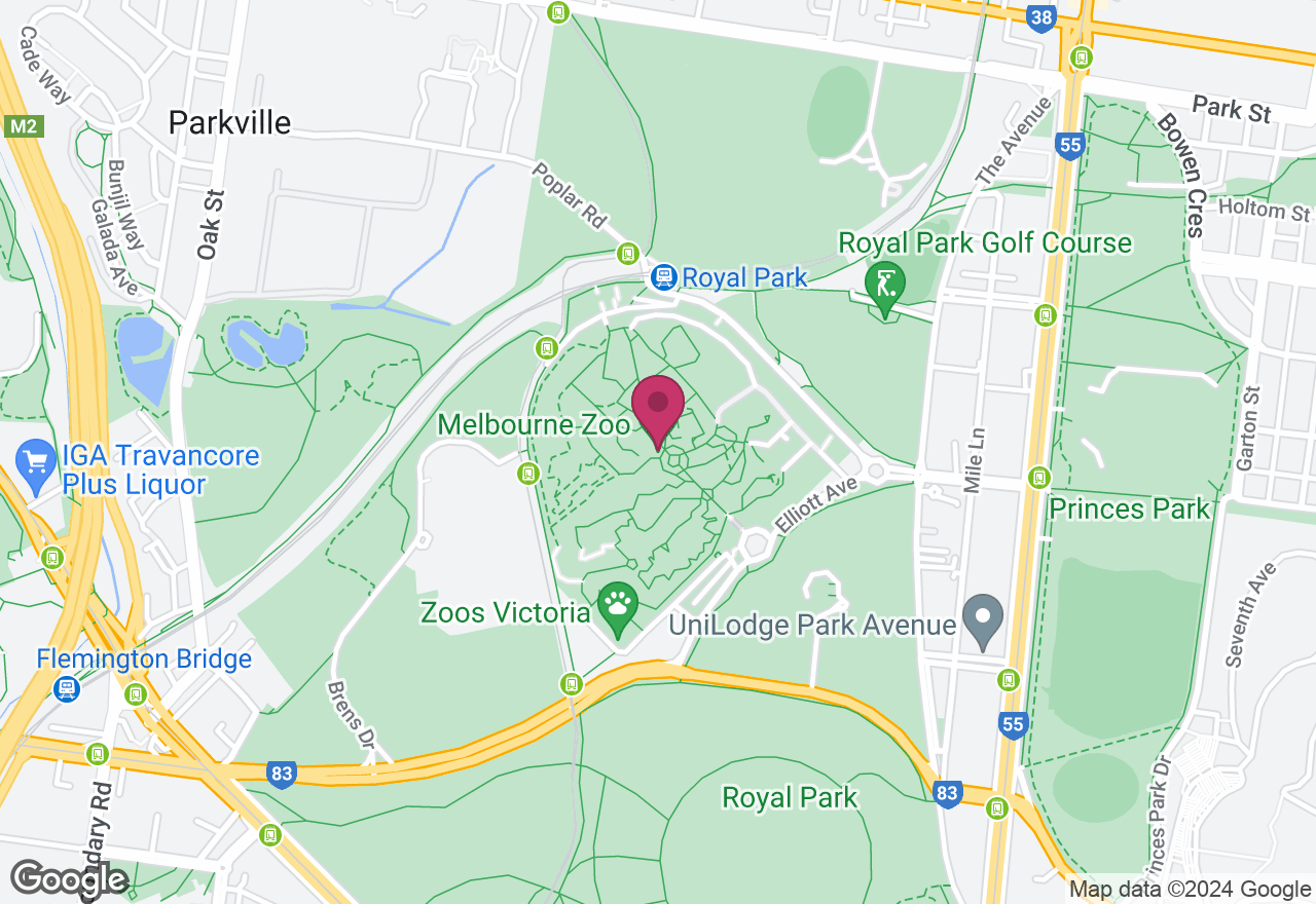 Melbourne Zoo Photography Workshop location