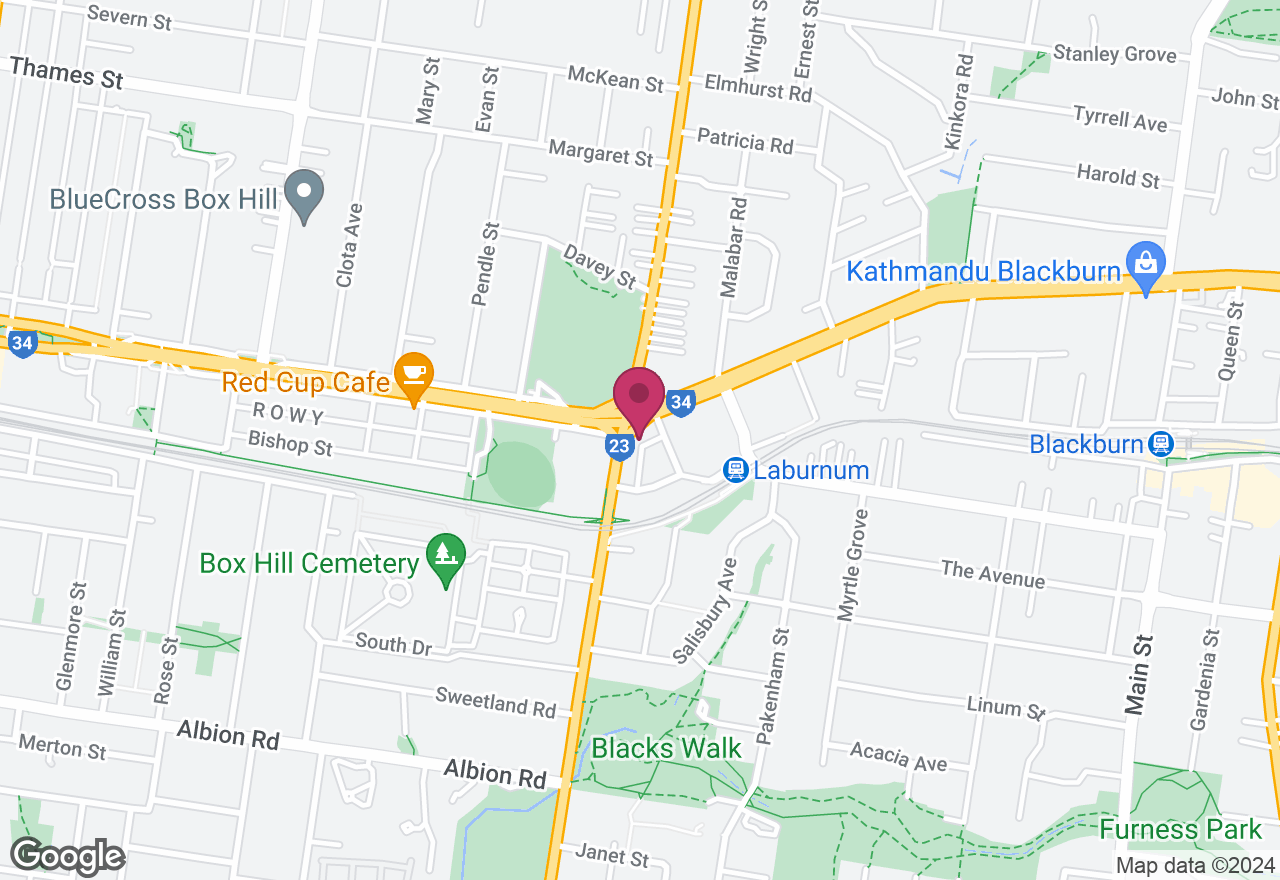 Fluid Bear Birthday Party for Kids location