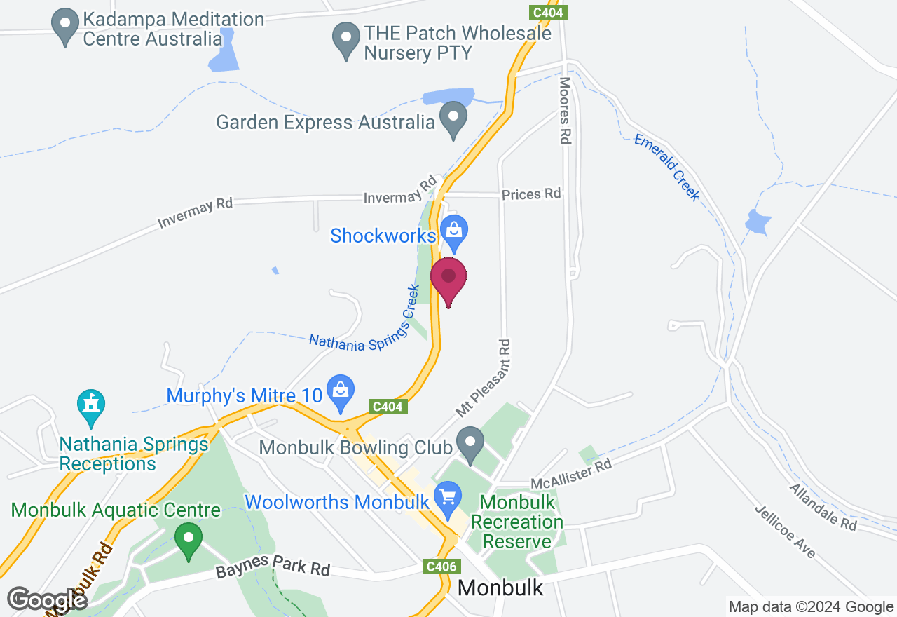 Half Day Day Painting Workshop: Paint a Pop-Art Pet location