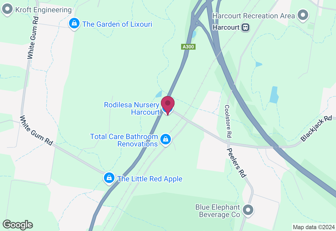 Kokedama Making Class location