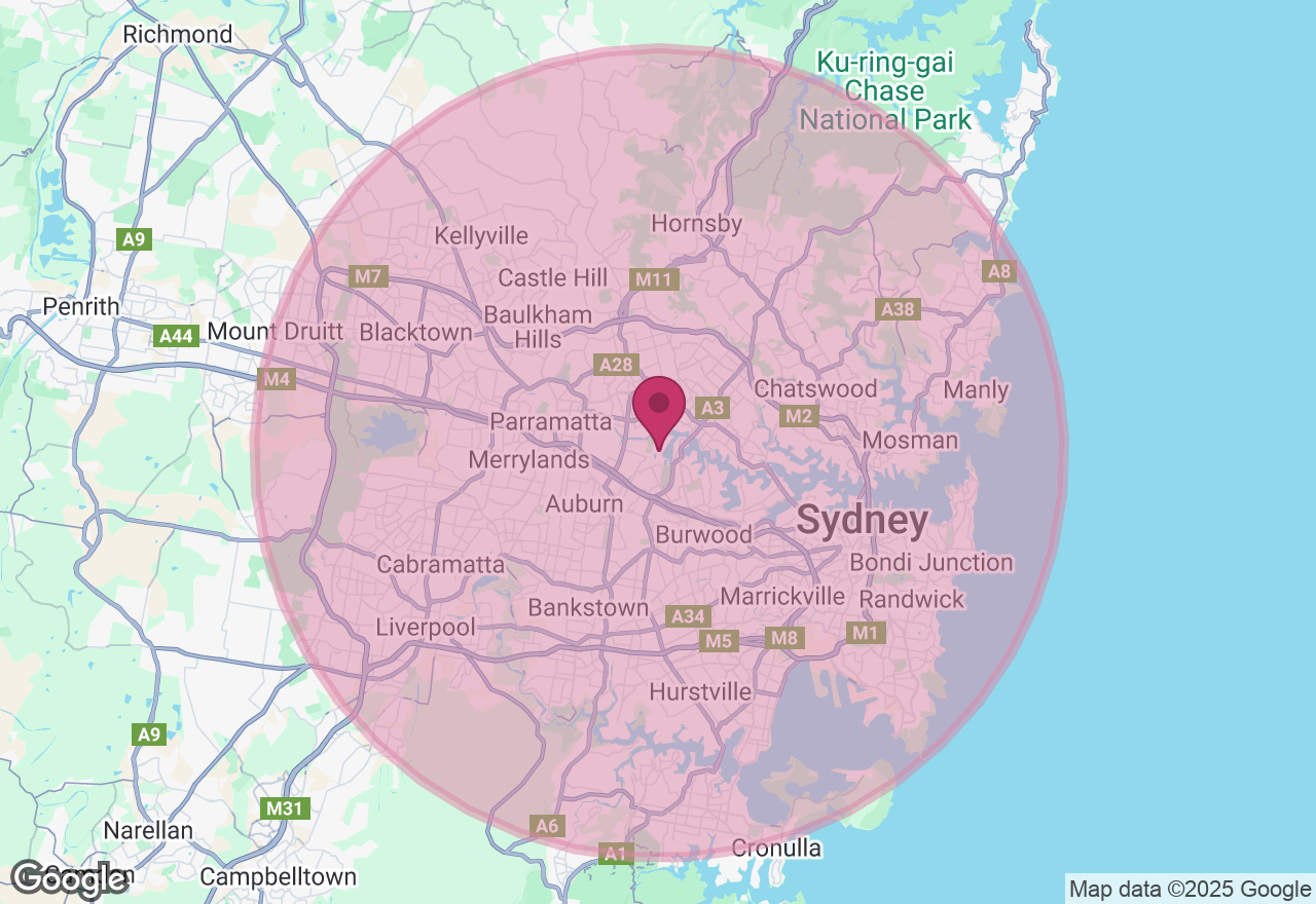 Paint Your Pet Workshop location