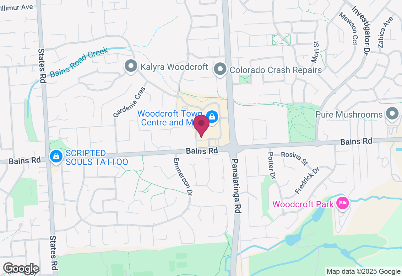 Cacti and Succulent Painting Workshop location