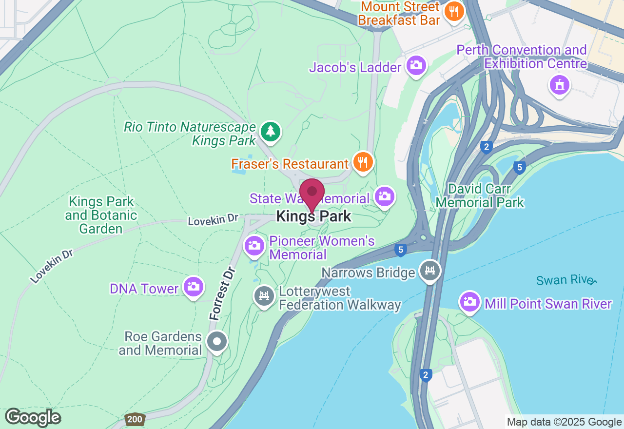 Luxurious Picnic Set Up at Kings Park location