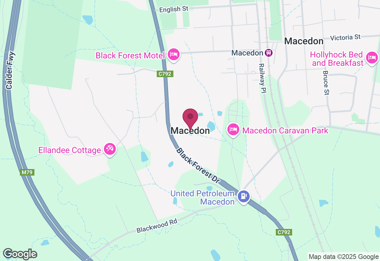 Imaginary Insects Workshop location