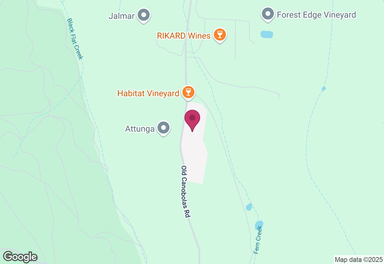 Sourdough Bagel Workshop at Habitat Vineyard location