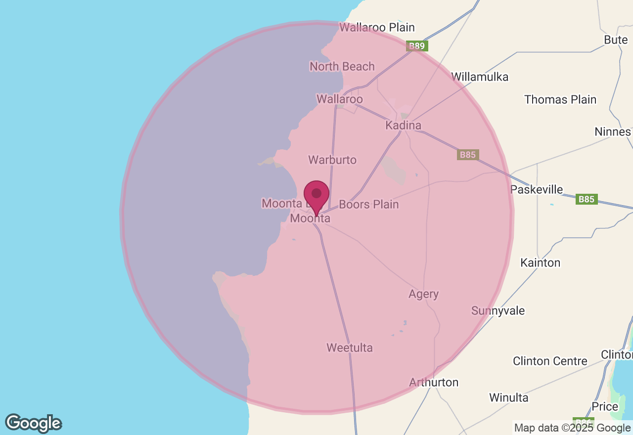 Elegant Christmas Cookie Decorating Workshop location